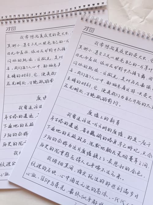 静山随笔体手写体行楷适合大学生行楷书法练字硬笔书法字帖 8