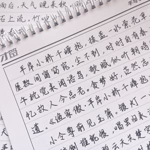 花间集墨体行楷中小学生成人练字帖